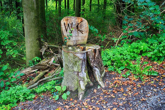 Bild mit einem Holzstumpf